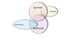 Survival Vocabulary Image